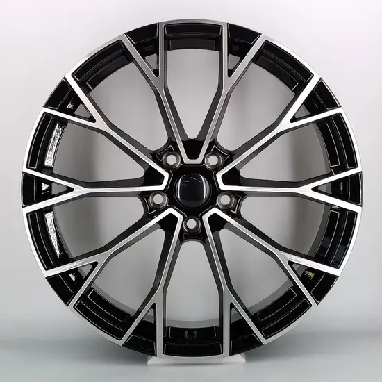   19 inch alloy wheel