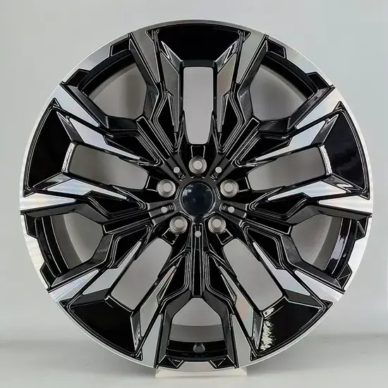 BMW  21 inch alloy wheel
