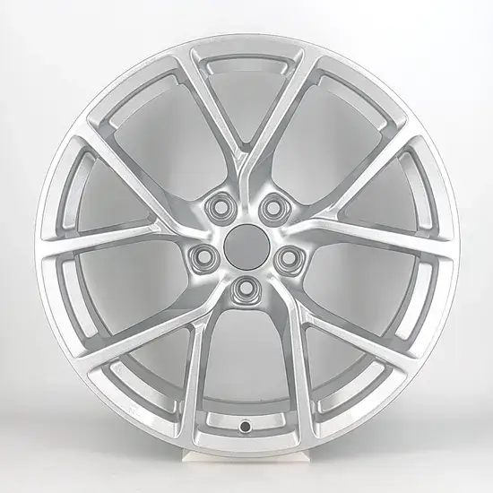   19 inch alloy wheel