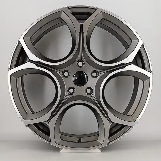   19 inch alloy wheel