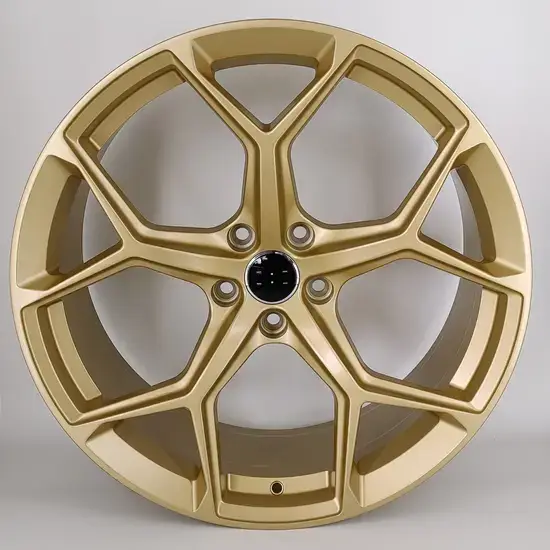   21 inch alloy wheel