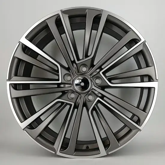   19 inch alloy wheel