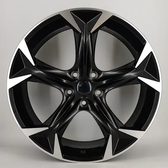   19 inch alloy wheel