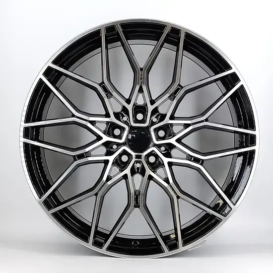 BMW  19 inch alloy wheel
